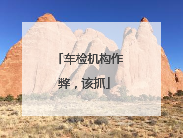 车检机构作弊，该抓