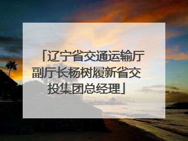 辽宁省交通运输厅副厅长杨树履新省交投集团总经理