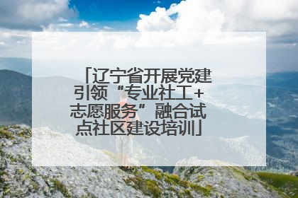 辽宁省开展党建引领“专业社工+志愿服务”融合试点社区建设培训