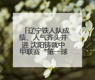 辽宁铁人队成绩、人气齐头并进 沈阳铸就中甲联赛“第一球市”