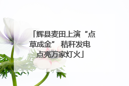 辉县麦田上演“点草成金” 秸秆发电点亮万家灯火