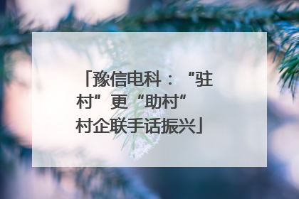 豫信电科：“驻村”更“助村” 村企联手话振兴