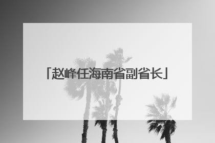赵峰任海南省副省长