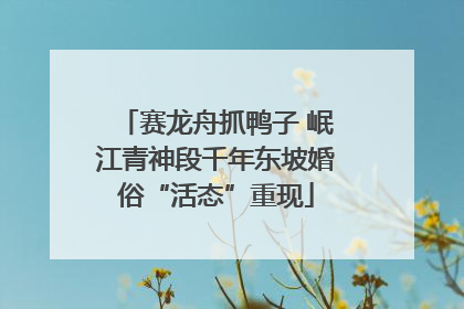 赛龙舟抓鸭子 岷江青神段千年东坡婚俗“活态”重现