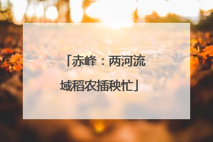 赤峰：两河流域稻农插秧忙
