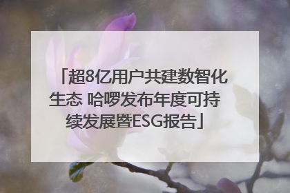 超8亿用户共建数智化生态 哈啰发布年度可持续发展暨ESG报告