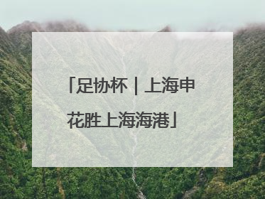 足协杯｜上海申花胜上海海港