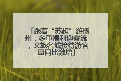 跟着“苏超”游扬州，多重福利迎客流，文旅名城接待游客量同比激增