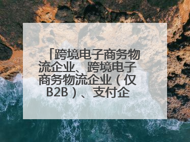 跨境电子商务物流企业、跨境电子商务物流企业（仅B2B）、支付企业备案操作指南