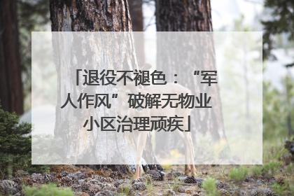 退役不褪色：“军人作风”破解无物业小区治理顽疾