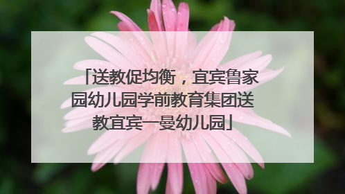送教促均衡，宜宾鲁家园幼儿园学前教育集团送教宜宾一曼幼儿园