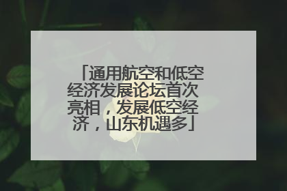 通用航空和低空经济发展论坛首次亮相，发展低空经济，山东机遇多