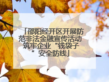 邵阳经开区开展防范非法金融宣传活动 筑牢企业“钱袋子”安全防线