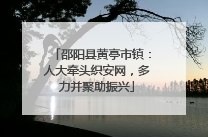 邵阳县黄亭市镇：人大牵头织安网，多力并聚助振兴