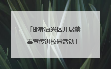 邯郸复兴区开展禁毒宣传进校园活动