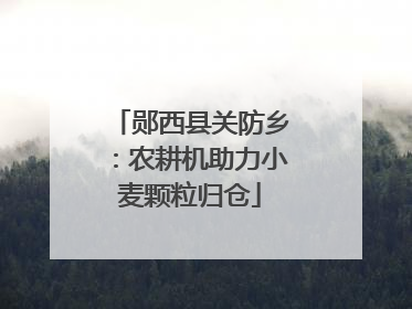 郧西县关防乡：农耕机助力小麦颗粒归仓