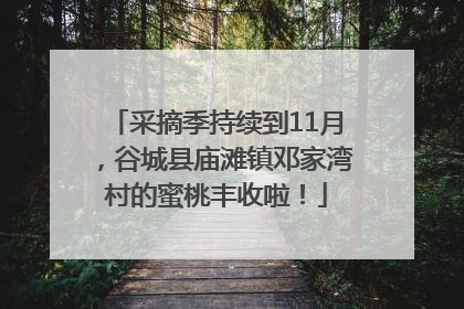 采摘季持续到11月，谷城县庙滩镇邓家湾村的蜜桃丰收啦！