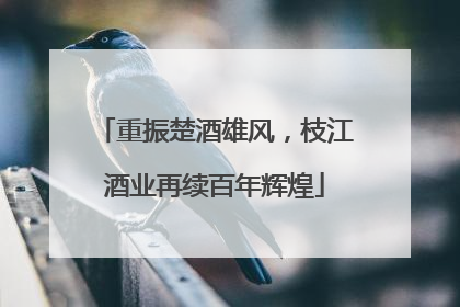 重振楚酒雄风，枝江酒业再续百年辉煌