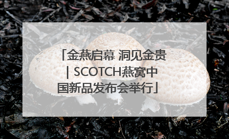金燕启幕 洞见金贵｜SCOTCH燕窝中国新品发布会举行