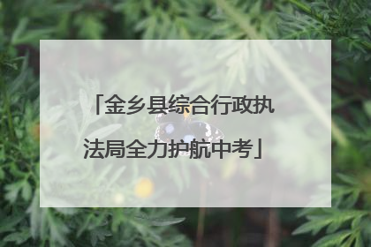 金乡县综合行政执法局全力护航中考