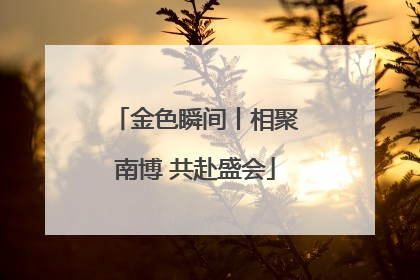 金色瞬间丨相聚南博 共赴盛会