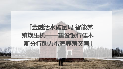 金融活水破困局 智能养殖焕生机——建设银行佳木斯分行助力蛋鸡养殖突围