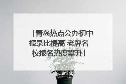 青岛热点公办初中报录比提高 老牌名校报名热度攀升