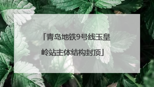 青岛地铁9号线玉皇岭站主体结构封顶