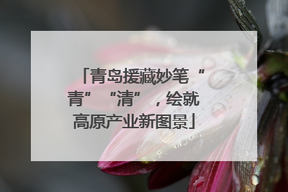 青岛援藏妙笔“青”“清”，绘就高原产业新图景