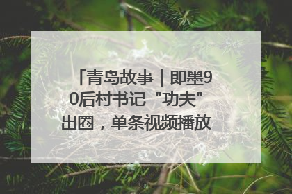 青岛故事｜即墨90后村书记“功夫”出圈，单条视频播放量过600万