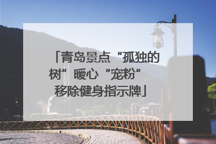 青岛景点“孤独的树”暖心“宠粉” 移除健身指示牌