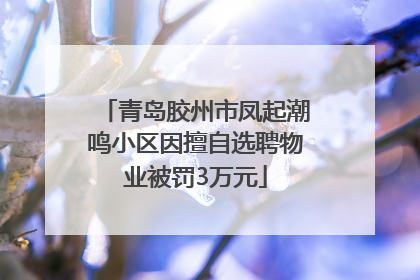 青岛胶州市凤起潮鸣小区因擅自选聘物业被罚3万元