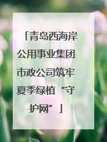 青岛西海岸公用事业集团市政公司筑牢夏季绿植“守护网”