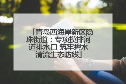 青岛西海岸新区隐珠街道：专项摸排河道排水口 筑牢碧水清流生态防线