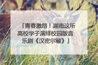 青春激昂！湖南这所高校学子演绎校园版音乐剧《汉密尔顿》