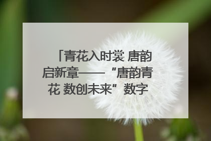 青花入时裳 唐韵启新章——“唐韵青花 数创未来”数字文创设计大赛启幕