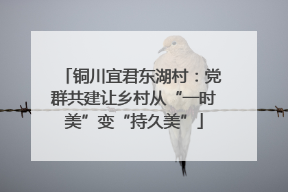 铜川宜君东湖村：党群共建让乡村从“一时美”变“持久美”