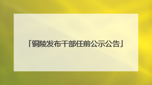 铜陵发布干部任前公示公告