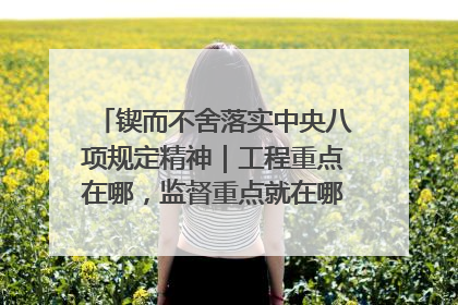 锲而不舍落实中央八项规定精神｜工程重点在哪，监督重点就在哪——广西深化政治监督护航平陆运河建设
