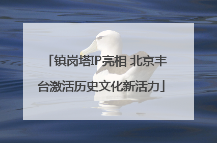 镇岗塔IP亮相 北京丰台激活历史文化新活力