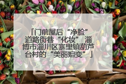 门前屋后“净脸” 道路街巷“化妆” 淄博市淄川区寨里镇葫芦台村的“美丽嬗变”