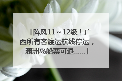阵风11～12级！广西所有客渡运航线停运，涠洲岛船票可退……