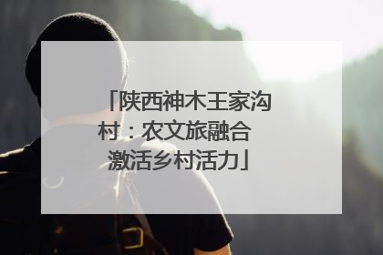 陕西神木王家沟村：农文旅融合 激活乡村活力