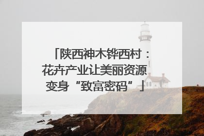 陕西神木铧西村：花卉产业让美丽资源变身“致富密码”