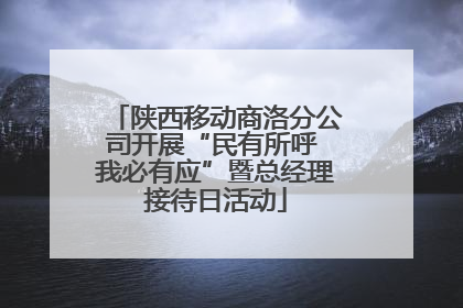 陕西移动商洛分公司开展“民有所呼 我必有应”暨总经理接待日活动