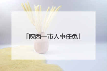 陕西一市人事任免