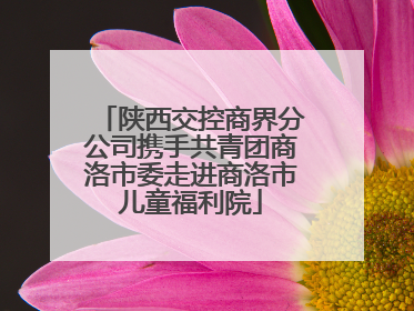 陕西交控商界分公司携手共青团商洛市委走进商洛市儿童福利院