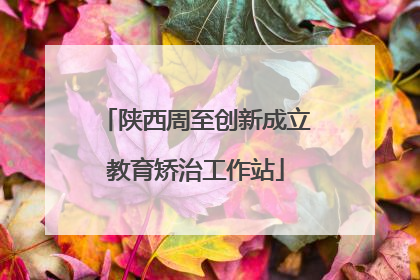 陕西周至创新成立教育矫治工作站
