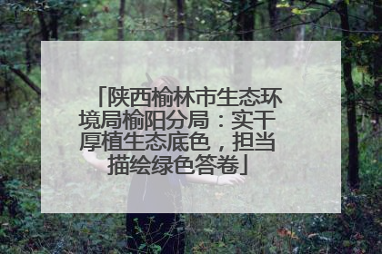 陕西榆林市生态环境局榆阳分局：实干厚植生态底色，担当描绘绿色答卷
