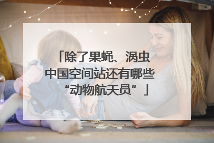 除了果蝇、涡虫 中国空间站还有哪些“动物航天员”